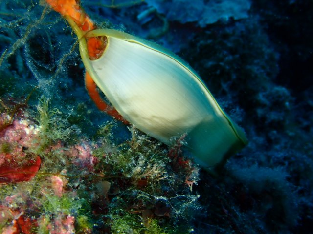 foto 10.06.19 18 08 07